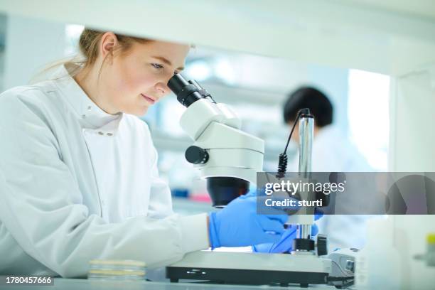 pharma industry female scientist - clinical trials stock pictures, royalty-free photos & images