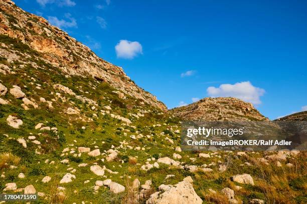 hills, green, many rocks, cala pulcino, small gorge, dream bay, lampedusa island, agrigento province, pelagic islands, sicily, italy - pulcino stock pictures, royalty-free photos & images