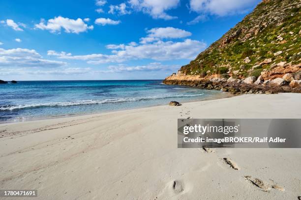 white deserted beach, rocks, blue sky, white clouds, cala pulcino, small gorge, dream bay, lampedusa island, agrigento province, pelagic islands, sicily, italy - pulcino stock pictures, royalty-free photos & images