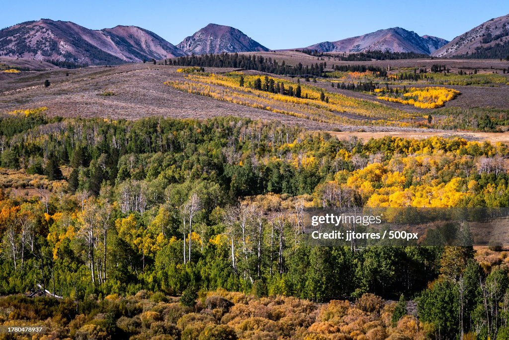 Scenic view of landscape against clear sky,Bishop,California,United States,USA