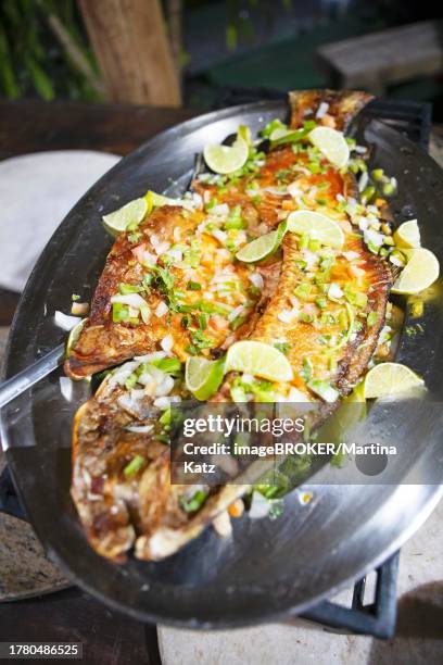 grilled tambaqui or black pacu or millstone tetra, traditional dish in the amazon rainforest, brazil - pacu fish stock pictures, royalty-free photos & images
