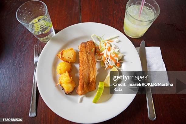 grilled tambaqui or black pacu or millstone tetra with portuguese potato, traditional dish in the amazon rainforest, brazil - pacu fish stock pictures, royalty-free photos & images