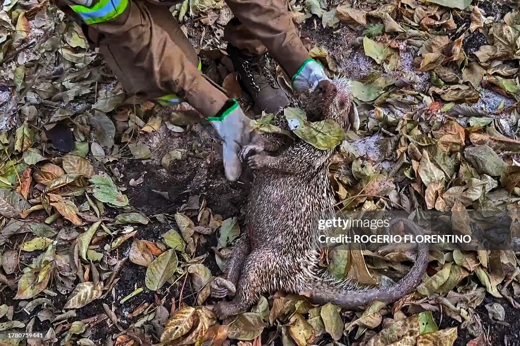 BRAZIL-PANTANAL-ENVIRONMENT-FIRE-DROUGHT