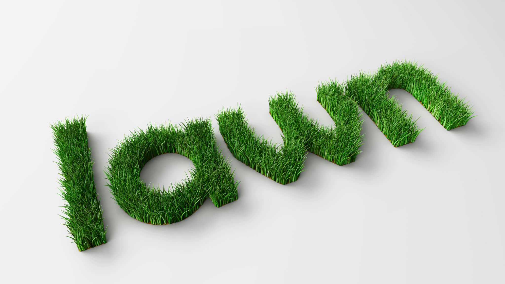 lawn lawn