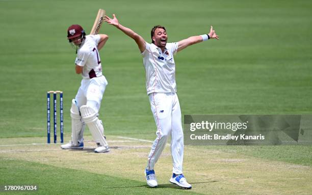 Harry Conway of South Australia appeals to the umpire during day three of the Sheffield Shield match between Queensland and South Australia at The...