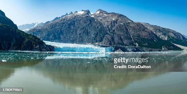 early morning view of glacier at glacier bay park & wilderness, alaska, usa - alaska coastline stock pictures, royalty-free photos & images