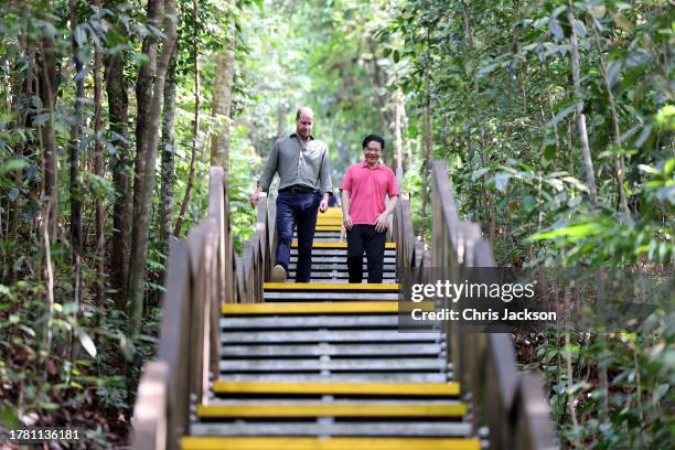 Prince William, Prince of Wales and Deputy Prime Minister and Minister for Finance, Lawrence Wong walk along a trail at the TreeTop Walk, located at...