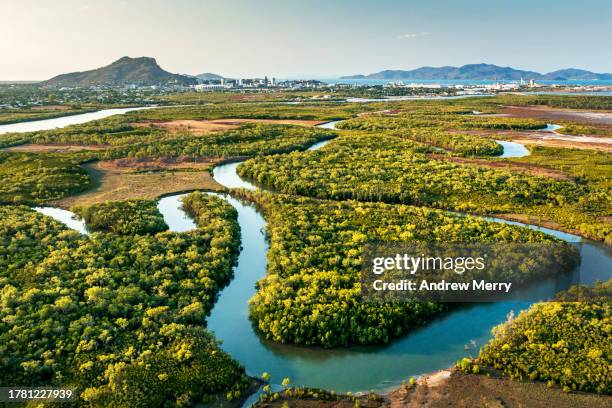 winding river landscape aerial view - queensland foto e immagini stock