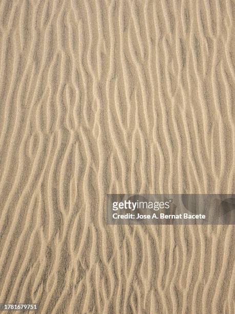 full frame of drawings and textures produced by the wind on a sand dune. - sable ondulé photos et images de collection