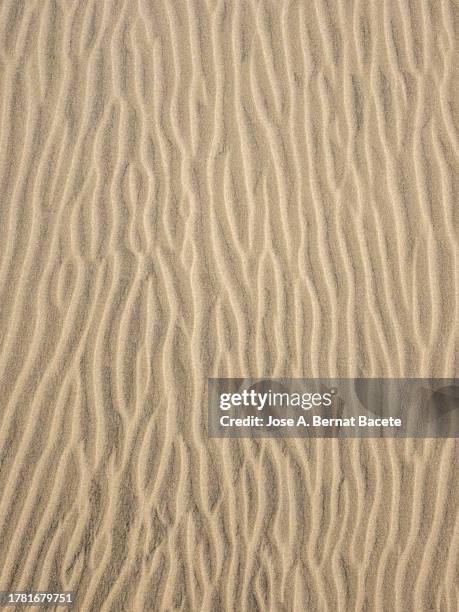 full frame of drawings and textures produced by the wind on a sand dune. - maspalomas imagens e fotografias de stock