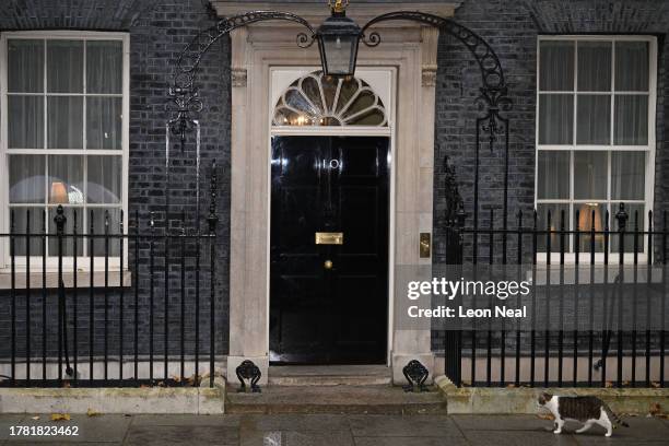 Larry the Cat walks outside No 10 Downing Street on November 14, 2023 in London, England. Rishi Sunak will meet his new ministers today after a...