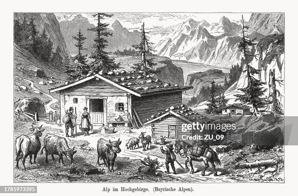alm im hochgebirge (bayerische alpen), holzschnitt, erschienen 1894 - grautier pferdeartige stock-grafiken, -clipart, -cartoons und -symbole
