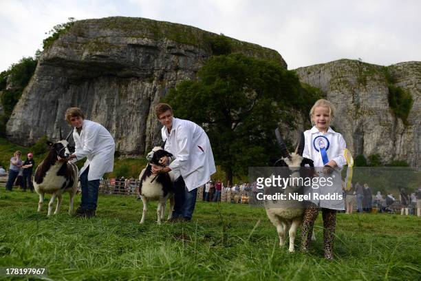 Millie Moore, age 6, with cousins Jack and Liam Brittain, stand with their multi prize-winning Jacob Sheep from Three Gables farm near Beadale during...
