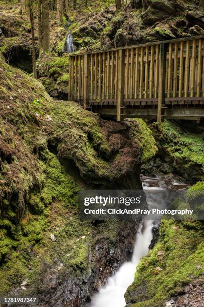 under the bridge - click below stock pictures, royalty-free photos & images