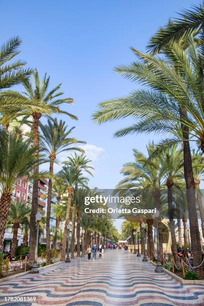 mosaicos na explanada de españa de alicante - espanha - valencia spagna - fotografias e filmes do acervo