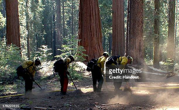 In this handout provided by U.S. Forest Service, Giant Sequoias tower over National Park Service fire crews as they establish hand line in the Merced...