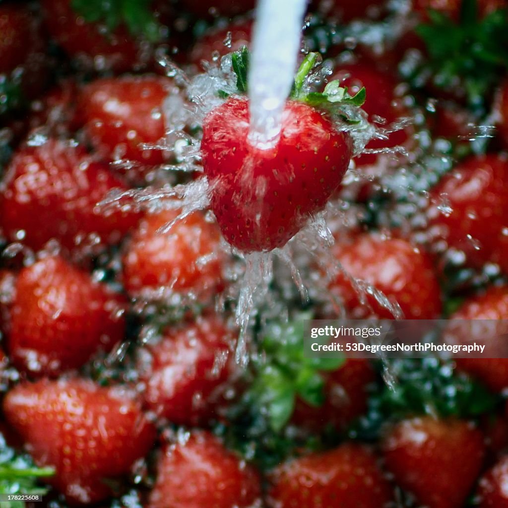 Washing strawberries in water