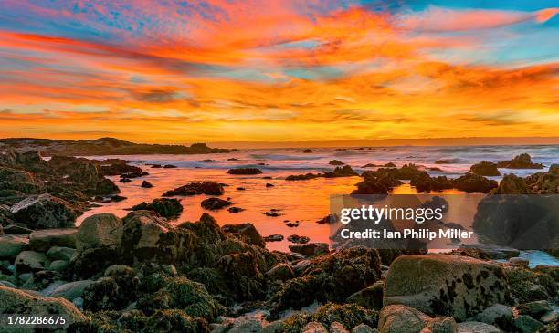 asilomar beach at sunset - pacific grove, ca - pacific grove stock pictures, royalty-free photos & images