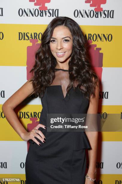 Terri Seymour attends the Disaronno Sunset Screening of "Roman Holiday" on August 22, 2013 in Los Angeles, California.