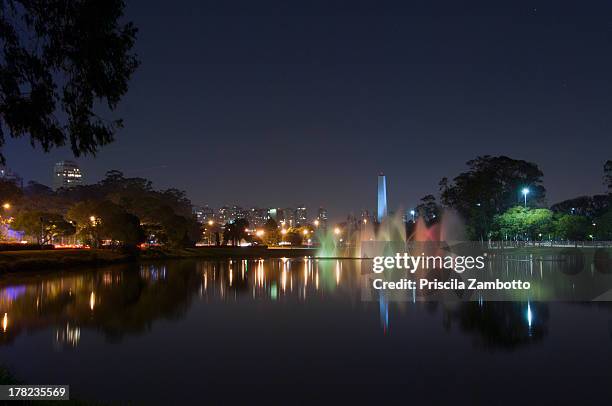 parque do ibirapuera - ibirapuera park stockfoto's en -beelden