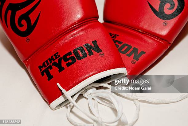 General view of Mike Tyson's boxing gloves at the "Puncher's Mark" Indiegogo Fundraiser Kick Off at Duane Park on August 27, 2013 in New York City.