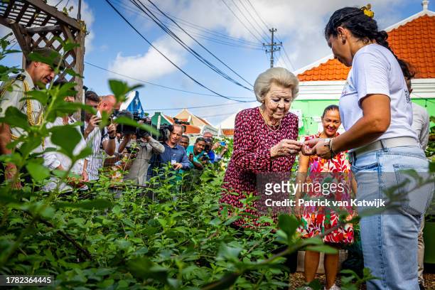 Princess Beatrix of The Netherlands visits Hofinan Seri Otrobanda neighborhood garden supported by the Oranje Foundation on November 8, 2023 in...