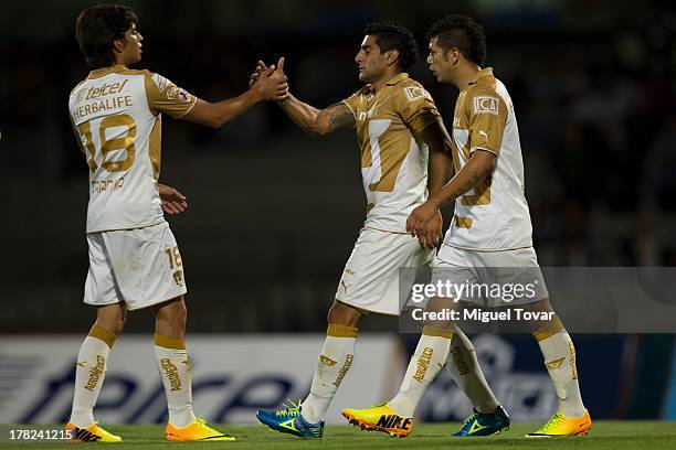 Martin Bravo and his teammates of Pumas celebrate a goal against Atletico San Luis during a match between Pumas and Atletico San Luis as part of the...