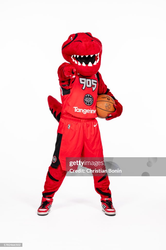 Riverside Raptors Rvc Mascot Raptors 905 mascot Stripes poses for a portrait during the Raptors ...