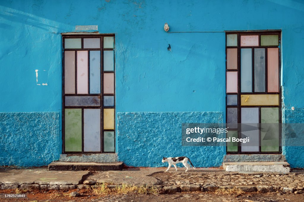 Cat in front of a blue house and multicolored doors in Tarrafal, Santiago island, Cape Verde