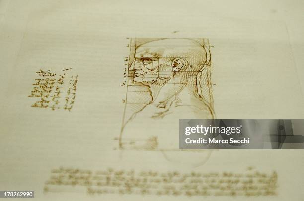 Detail of a drawing on display in the 'Leonardo da Vinci, L'Uomo Universale' exhibition during the press preview at Gallerie dell'Accademia on August...
