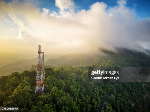 city telecommunication tower in greenery and sunrise, aerial view - torn byggnadskonstruktion bildbanksfoton och bilder