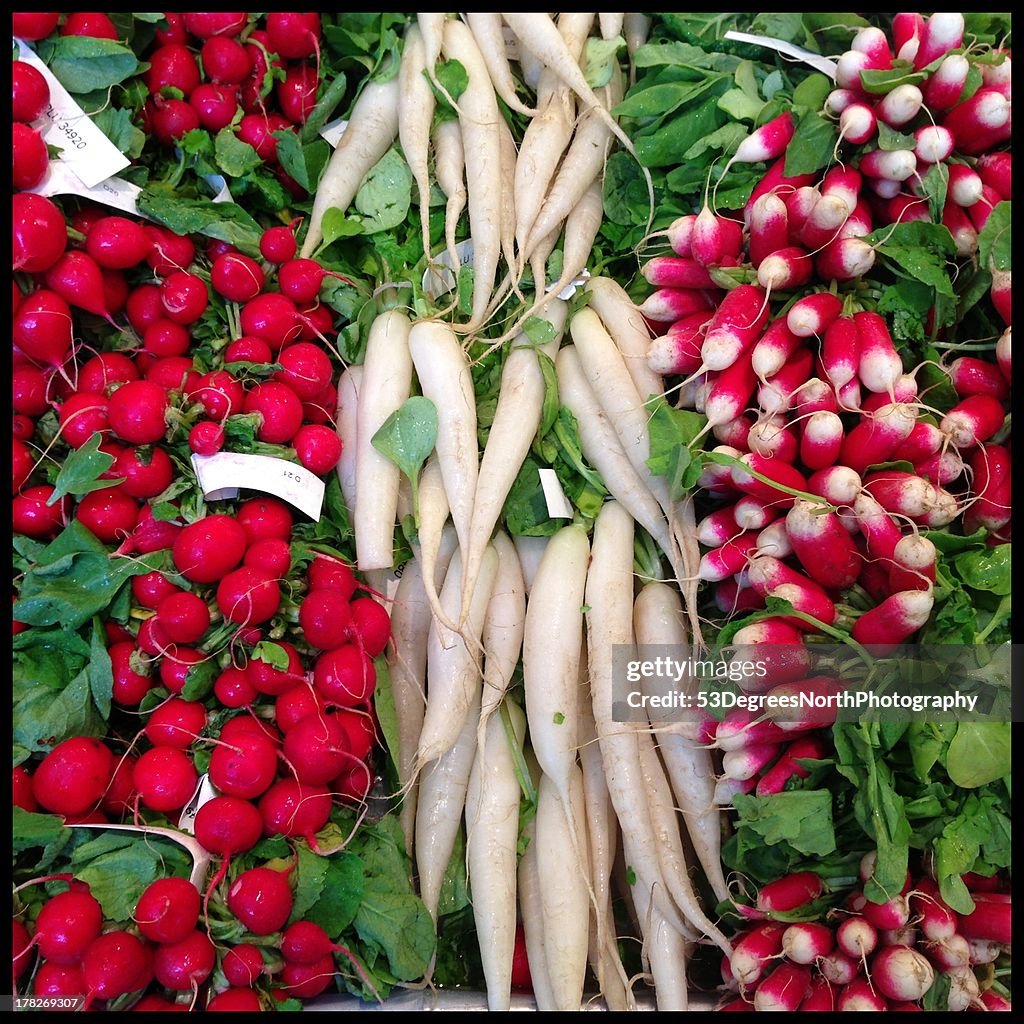 Fresh radishes