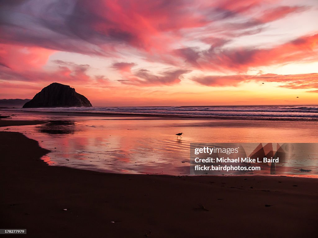 Morro Bay CA Sunset at Morro Rock