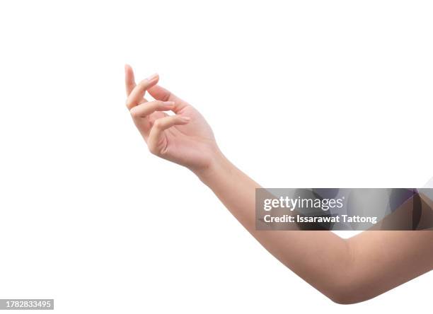 elegant woman hand on isolated on white background - human arm stock pictures, royalty-free photos & images