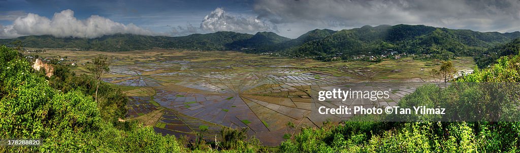 Spiderweb rice terrace panorama