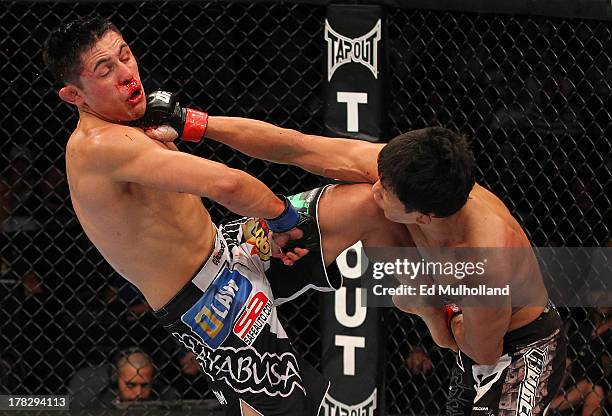 Takeya Mizugaki punches Erik Perez in their bantamweight fight during the UFC on FOX Sports 1 event at Bankers Life Fieldhouse on August 28, 2013 in...