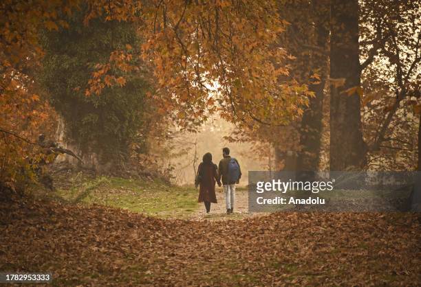 People spend their time in the Mughal Garden covered with fallen leaves during the fall season in Srinagar, Jammu and Kashmir on November 14, 2023.