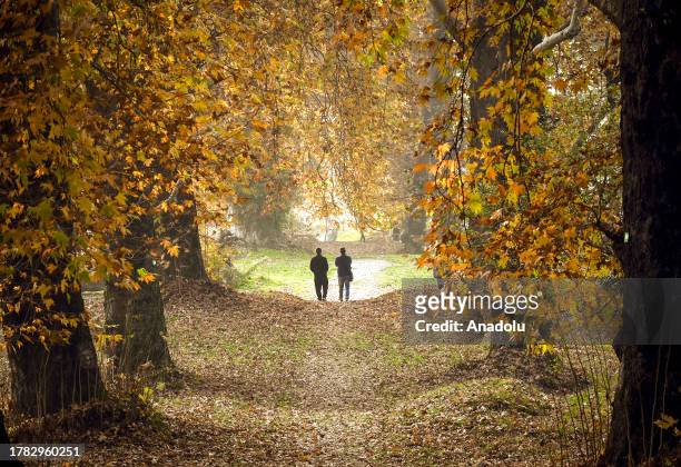 People spend their time in the Mughal Garden covered with fallen leaves during the fall season in Srinagar, Jammu and Kashmir on November 14, 2023.