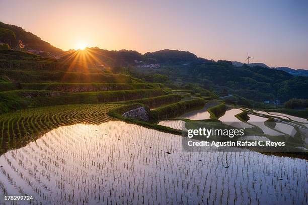 oura rice terraces during sunrise - japan sunrise stock-fotos und bilder