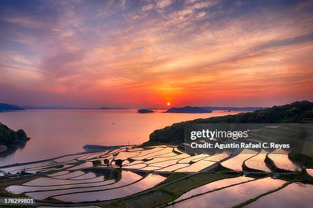 doya rice terraces during sunset - kyushu stock-fotos und bilder