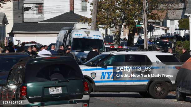 November 14: Dozens of NYPD officers from 113th Precinct and beyond flock to Milburn Street near 122nd Avenue in Queens after a unidentified man,...
