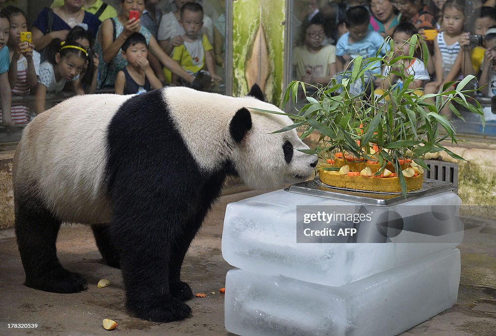 CHINA-ANIMAL-PANDA