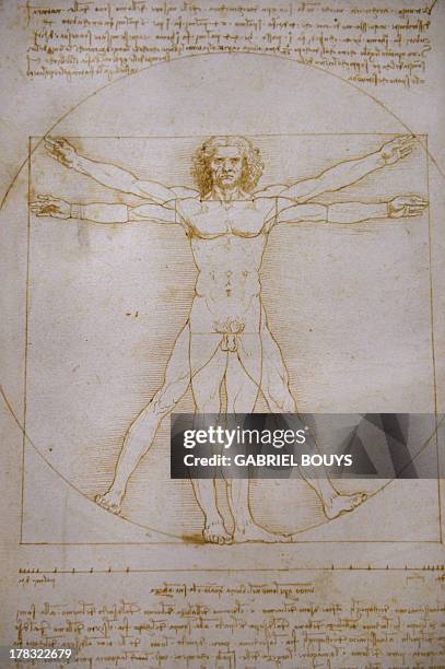 Picture shows the "Vitruvian Man" a drawing by Leonardo da Vinci, on August 2ç, 2013 in Venice. Fifty-two drawings by Renaissance genius Leonardo da...