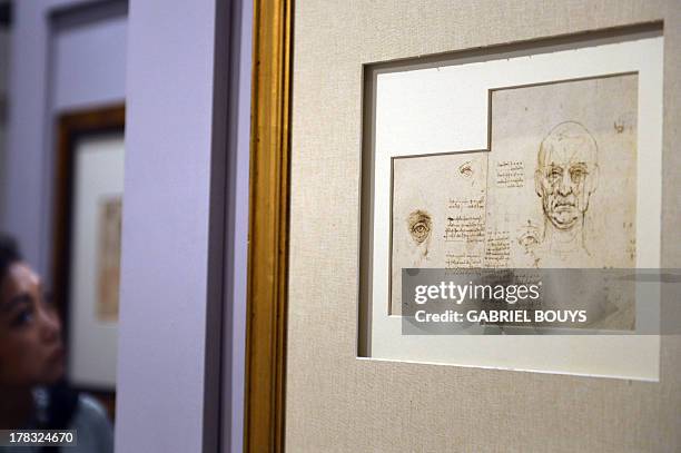 Picture shows drawings by Leonardo da Vinci, on August 29, 2013 in Venice. Fifty-two drawings by Renaissance genius Leonardo da Vinci are going on...
