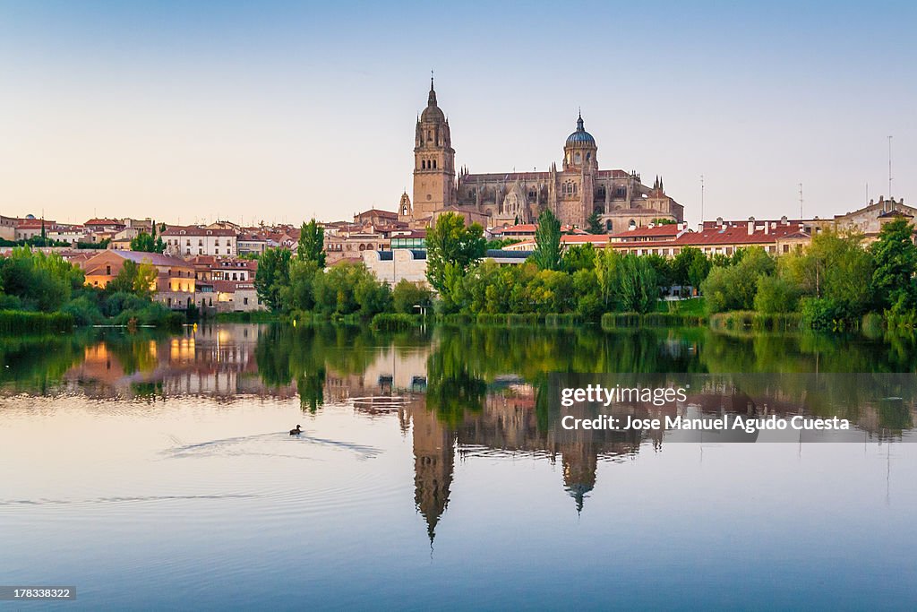 Salamanca Reflections