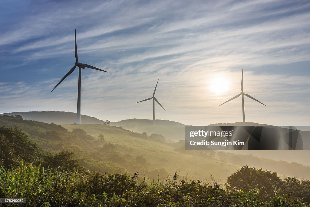 Windmills on the misty mountain