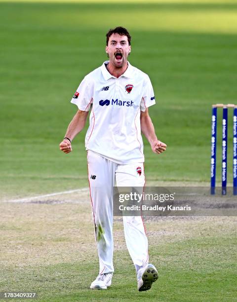 Jordan Buckingham of South Australia celebrates taking the wicket of Mark Steketee of Queensland during day four of the Sheffield Shield match...