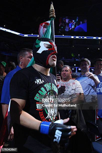 Erik Perez enters the arena before his bantamweight fight against Takeya Mizugaki during the UFC on FOX Sports 1 event at Bankers Life Fieldhouse on...