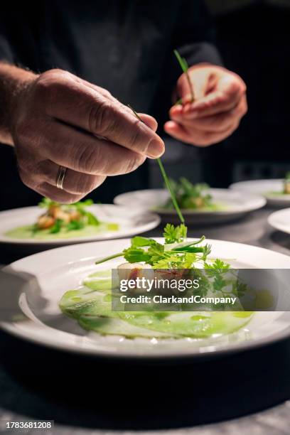 scallops and kohlrabi - garnish stock pictures, royalty-free photos & images