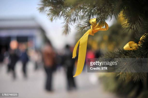 This photo taken on March 26, 2011 shows yellow ribbons tied on trees at a cemetery in Beijing to mark the annual Qing Ming Festival, or...